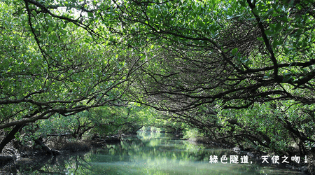 走進台版亞馬遜河，是天使遺落的一個吻！