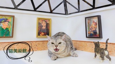 貓奴?必去！貓展覽也可以很文青，讓家裡的貓咪也開始培養藝術氣息吧！??