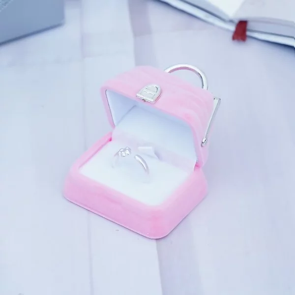 粉紅口金包×適用戒指/項鍊/手鍊×絨布盒