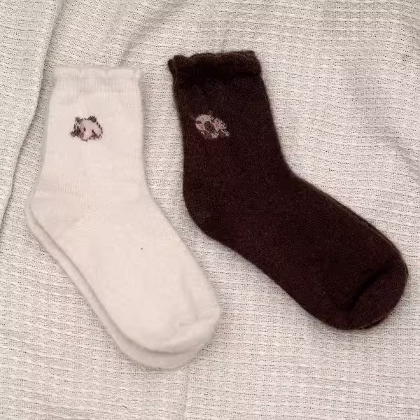 卡皮巴拉毛襪&times;中筒襪&times;二雙套件襪子組&times;暖咖