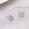 925銀針×晶鑽小惡魔×耳針-第5張