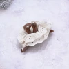 復古米白蕾絲琥珀色×鯊魚夾-第1張