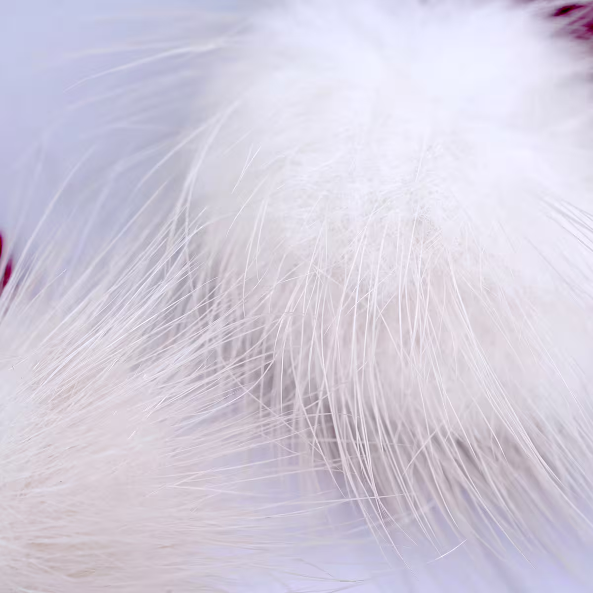 雪花紅絨毛球×吊墜耳環-第5張