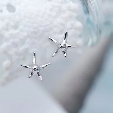 925銀針×五角海星×耳針.avif