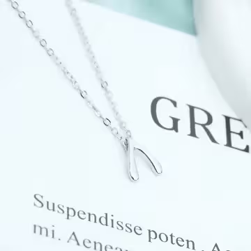 925銀飾×如願骨×鎖骨項鍊