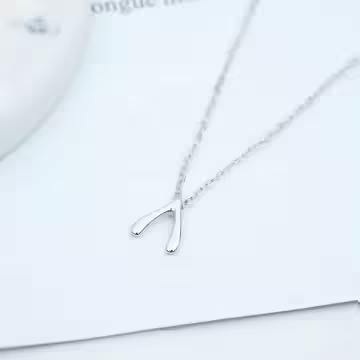 925銀飾×如願骨×鎖骨項鍊
