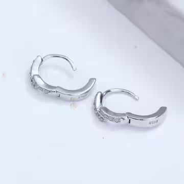 交錯的璀璨光芒×耳扣