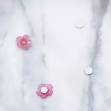 粉紅小花朵×磁吸耳夾/裝飾小物