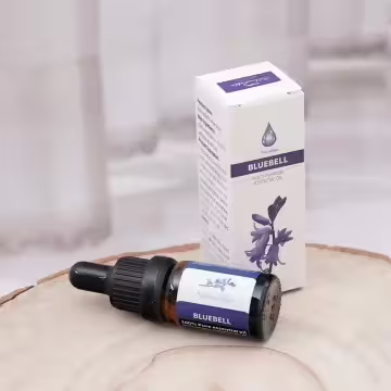 藍風鈴×水溶性薰香精油×10ml