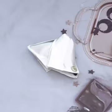 緞面包覆極簡風×鯊魚夾×共二色