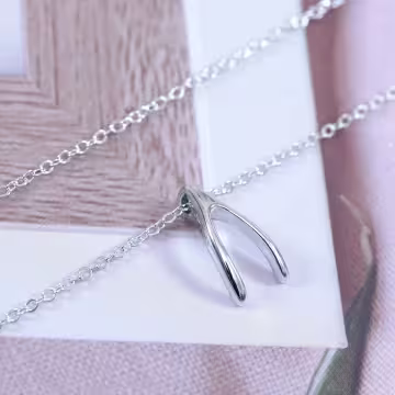 925銀飾×如願骨×鎖骨項鍊